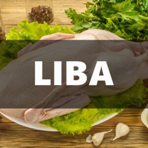 Liba